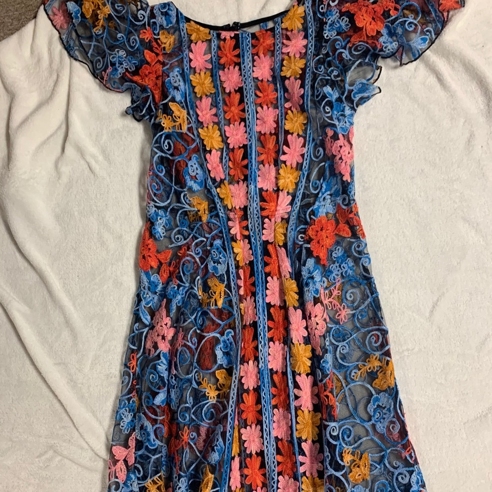 Vintage sheer dress